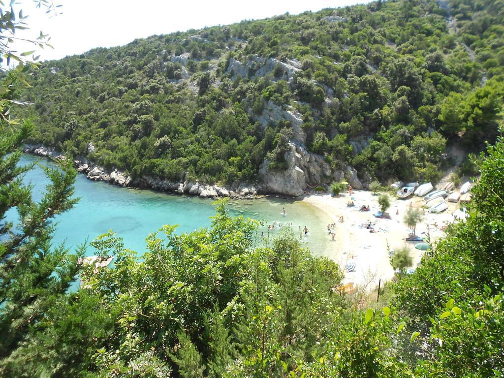 Jasmina * Vinisce
