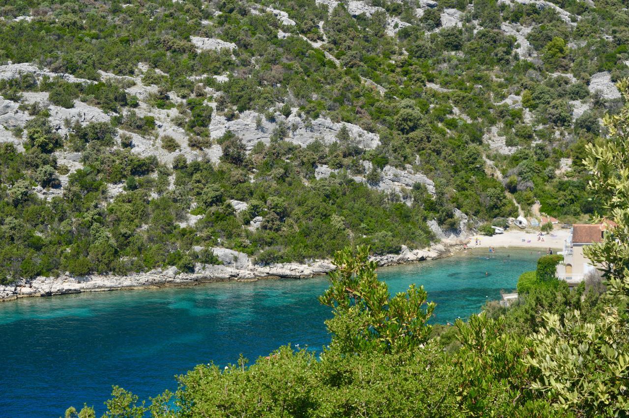 Jasmina Apartment